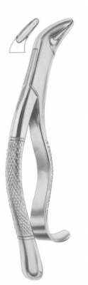  Fig. 288 lower canines and premolars 